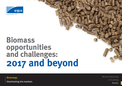 Biomass 2017 Viewpoints eBook 400px.png